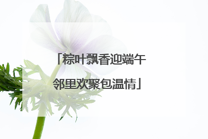 粽叶飘香迎端午 邻里欢聚包温情