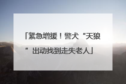 紧急增援！警犬“天狼”出动找到走失老人