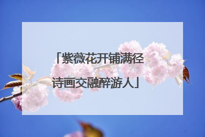 紫薇花开铺满径 诗画交融醉游人