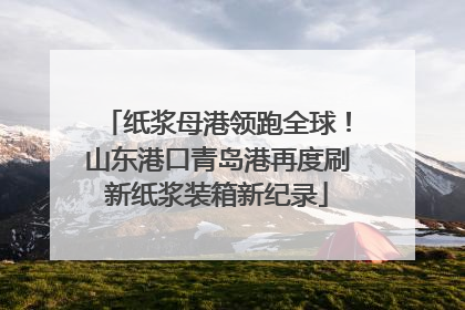 纸浆母港领跑全球！山东港口青岛港再度刷新纸浆装箱新纪录