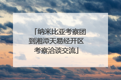 纳米比亚考察团到湘潭天易经开区考察洽谈交流
