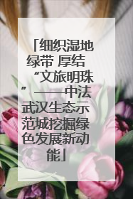 细织湿地绿带 厚结“文旅明珠”——中法武汉生态示范城挖掘绿色发展新动能