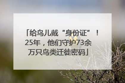 给鸟儿戴“身份证”！25年，他们守护73余万只鸟类迁徙密码