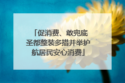 促消费、敢兜底 圣都整装多措并举护航居民安心消费