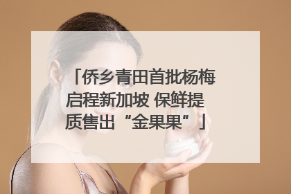 侨乡青田首批杨梅启程新加坡 保鲜提质售出“金果果”