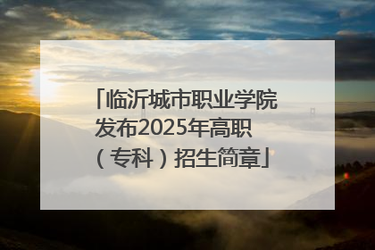 临沂城市职业学院发布2025年高职（专科）招生简章