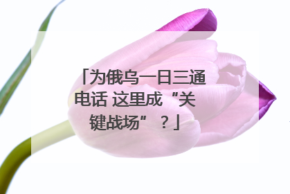 为俄乌一日三通电话 这里成“关键战场”？