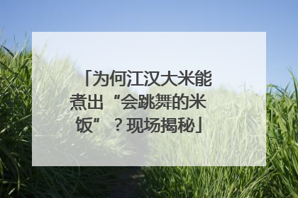 为何江汉大米能煮出“会跳舞的米饭”？现场揭秘