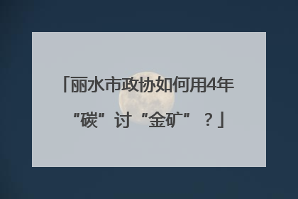 丽水市政协如何用4年“碳”讨“金矿”？