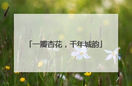 一瓣杏花，千年城韵