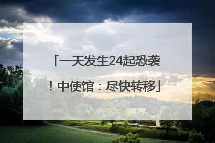 一天发生24起恐袭！中使馆：尽快转移