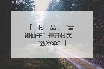 一村一品，“雪裙仙子”撑开村民“致富伞”