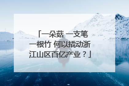 一朵菇 一支笔 一根竹 何以撬动浙江山区百亿产业？