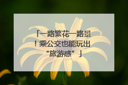 一路繁花一路景！乘公交也能玩出“旅游感”