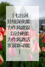 七台河：持续深化能力作风建设 以过硬能力作风激活发展新动能