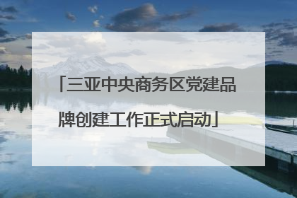 三亚中央商务区党建品牌创建工作正式启动