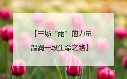 三场“雨”的力量温润一段生命之路