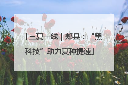 三夏一线｜郏县：“黑科技”助力夏种提速
