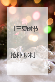 三夏时节·抢种玉米