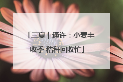 三夏｜通许：小麦丰收季 秸秆回收忙