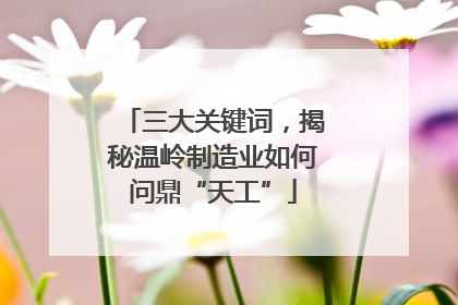 三大关键词，揭秘温岭制造业如何问鼎“天工”