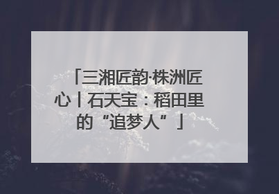 三湘匠韵·株洲匠心丨石天宝：稻田里的“追梦人”