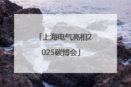 上海电气亮相2025碳博会