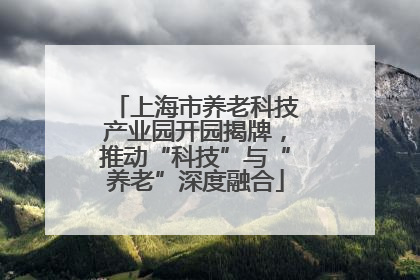 上海市养老科技产业园开园揭牌，推动“科技”与“养老”深度融合