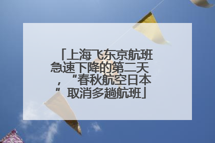 上海飞东京航班急速下降的第二天，“春秋航空日本”取消多趟航班