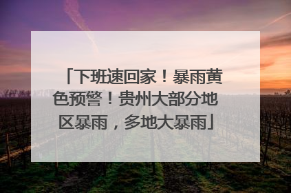 下班速回家！暴雨黄色预警！贵州大部分地区暴雨，多地大暴雨