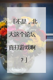 不是，北大这个论坛真打游戏啊？