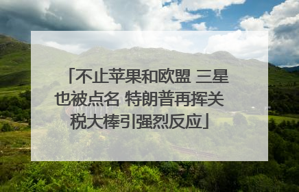 不止苹果和欧盟 三星也被点名 特朗普再挥关税大棒引强烈反应