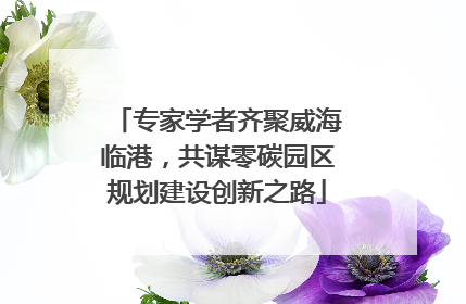 专家学者齐聚威海临港，共谋零碳园区规划建设创新之路