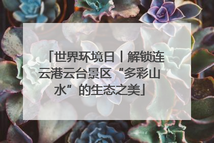 世界环境日丨解锁连云港云台景区“多彩山水”的生态之美