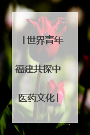 世界青年福建共探中医药文化