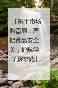 东平市场监管局：严把食品安全关，护航学子逐梦路