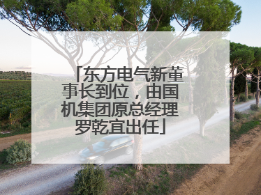东方电气新董事长到位,由国机集团原总经理罗乾宜出任
