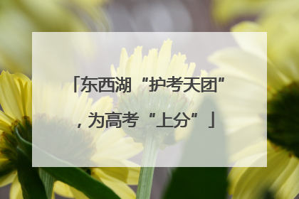 东西湖“护考天团”，为高考“上分”