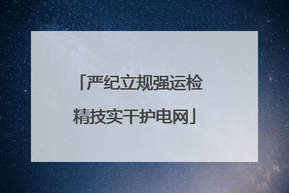 严纪立规强运检 精技实干护电网