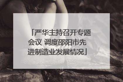 严华主持召开专题会议 调度邵阳市先进制造业发展情况