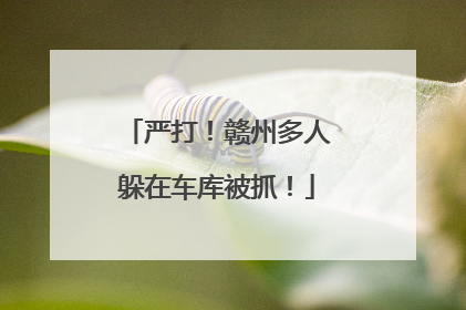 严打！赣州多人躲在车库被抓！