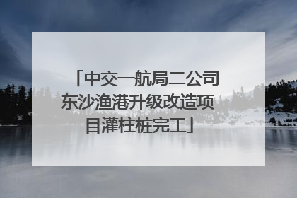 中交一航局二公司东沙渔港升级改造项目灌柱桩完工