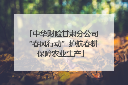 中华财险甘肃分公司“春风行动”护航春耕 保障农业生产
