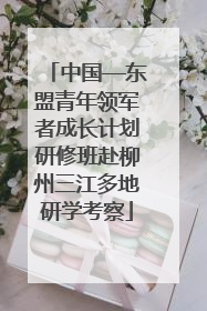中国—东盟青年领军者成长计划研修班赴柳州三江多地研学考察