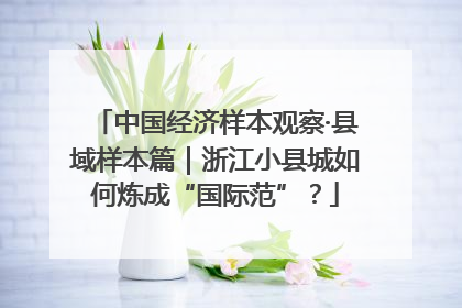 中国经济样本观察·县域样本篇｜浙江小县城如何炼成“国际范”？