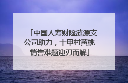中国人寿财险涟源支公司助力，十甲村黄桃销售难题迎刃而解