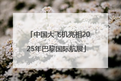 中国大飞机亮相2025年巴黎国际航展