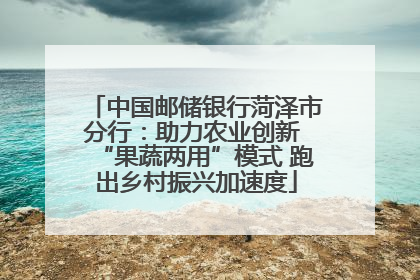 中国邮储银行菏泽市分行：助力农业创新 “果蔬两用”模式 跑出乡村振兴加速度