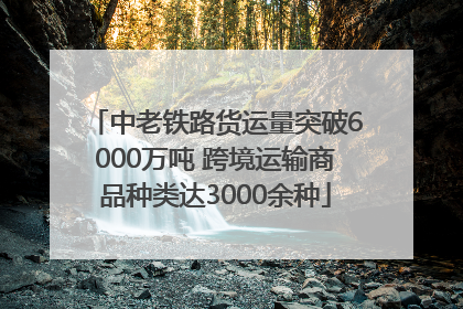 中老铁路货运量突破6000万吨 跨境运输商品种类达3000余种