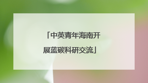 中英青年海南开展蓝碳科研交流